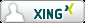 XING Profil